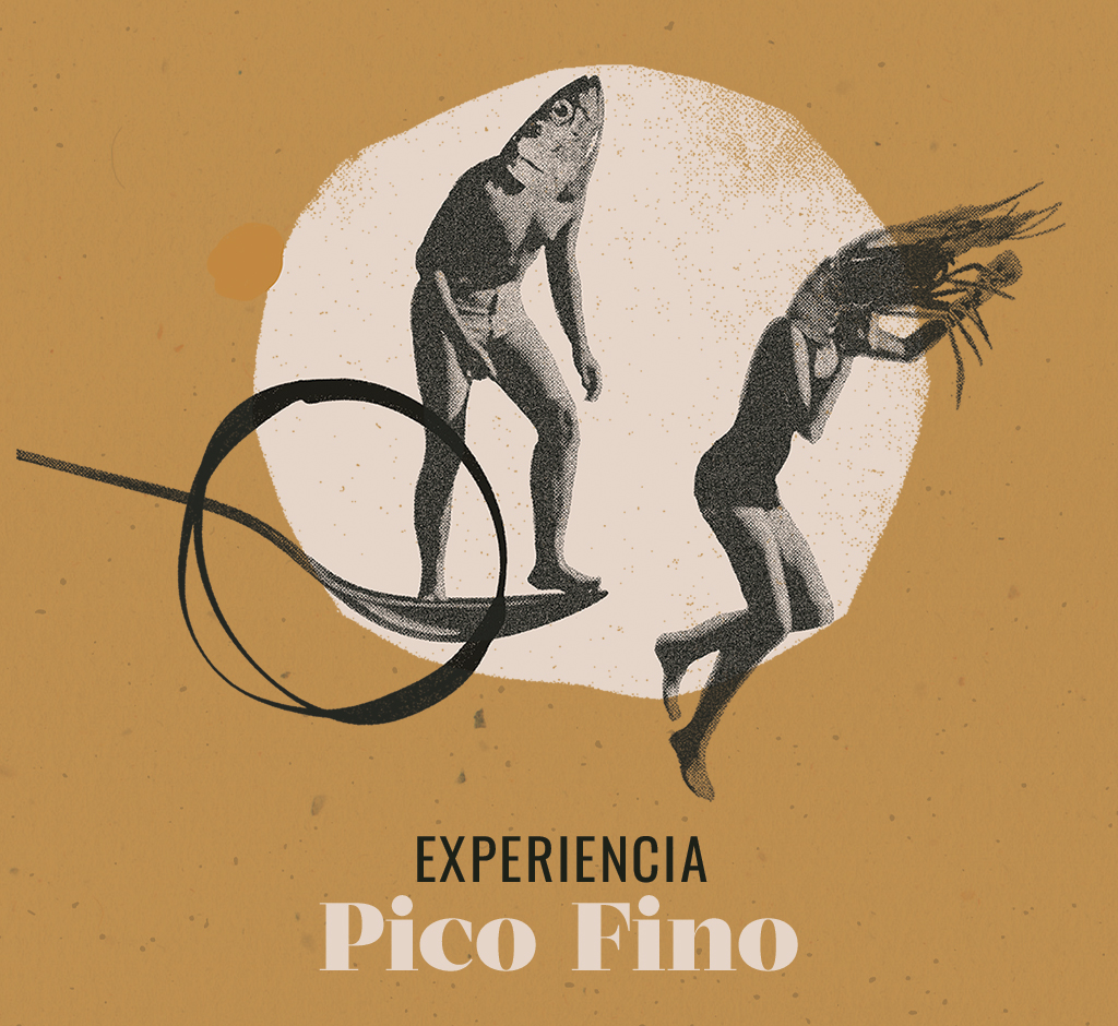 exp-pico-fino